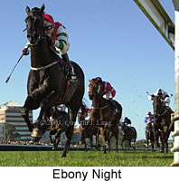 Ebony Night (14481 bytes)