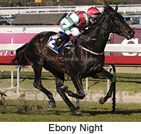 Ebony Night (17158 bytes)