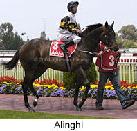 Alinghi (16079 bytes)