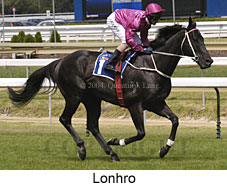 Lonhro (18145 bytes)