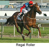 Regal Roller (16519 bytes)