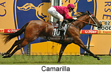 Camarilla (14872 bytes)