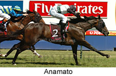Anamato (14872 bytes)