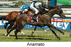 Anamato (14872 bytes)