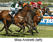 Miss Andretti (14872 bytes)