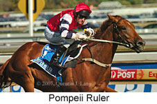 Pompeii Ruler (14872 bytes)