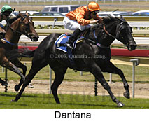 Danatana (17432 bytes)