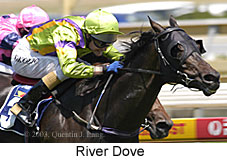 River Dove (17277 bytes)
