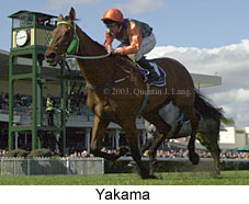 Yakama (15433 bytes)