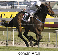 Roman Arch (17278 bytes)
