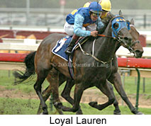 Loyal Lauren (16193 bytes)