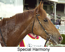 Special Harmony (12840 bytes)