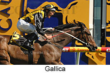 Gallica (16564 bytes)
