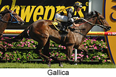 Gallica (16564 bytes)