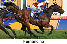 Fernandina (14772 bytes)