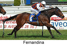 Fernandina (14772 bytes)
