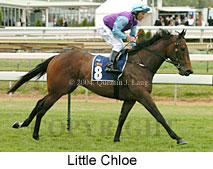 Little Chloe (16193 bytes)
