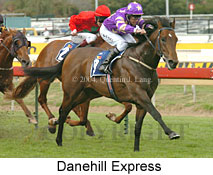 Danehill Express (16193 bytes)