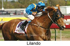 Lilando (16193 bytes)