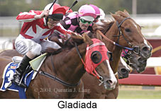 Gladiada (15573 bytes)