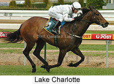 Lake Charlotte (14772 bytes)