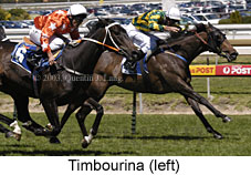 Timbourina (18470 bytes)