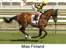 Miss Finland (16564 bytes)
