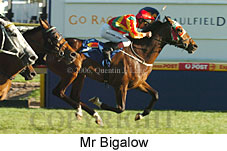 Mr Bigalow (16564 bytes)