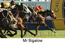 Mr Bigalow (16564 bytes)