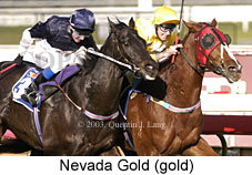 Nevada Gold (17241 bytes)