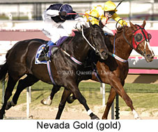 Nevada Gold (20872 bytes)