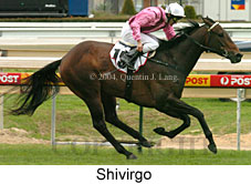 Shivirgo (16517 bytes)