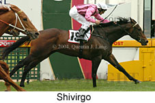 Shivirgo (14984 bytes)