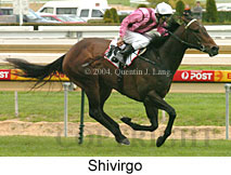 Shivirgo (15560 bytes)