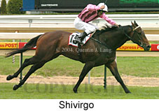 Shivirgo (15228 bytes)