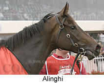 Alinghi (11862 bytes)
