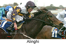 ALINGHI (15213 bytes)