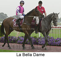 La Bella Dame (14403 bytes)