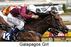 Galapagos Girl (16049 bytes)
