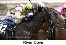 River Dove (14145 bytes)