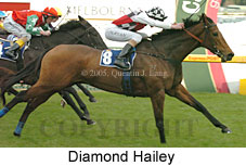 Diamond Hailey (14772 bytes)