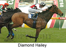 Diamond Hailey (14772 bytes)