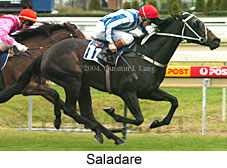 Saladare (18130 bytes)