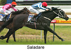 Saladare (16400 bytes)