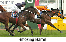 Smoking Barrel (18130 bytes)
