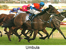 Umbula (18767 bytes)