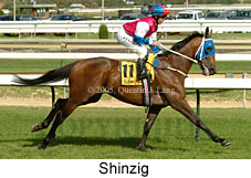 Shinzig (14772 bytes)