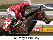 Murphy's Blu Boy (17376 bytes)