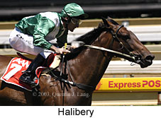 Halibery (16909 bytes)