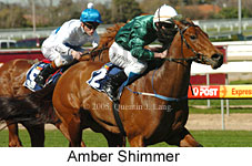 Amber Shimmer (14772 bytes)